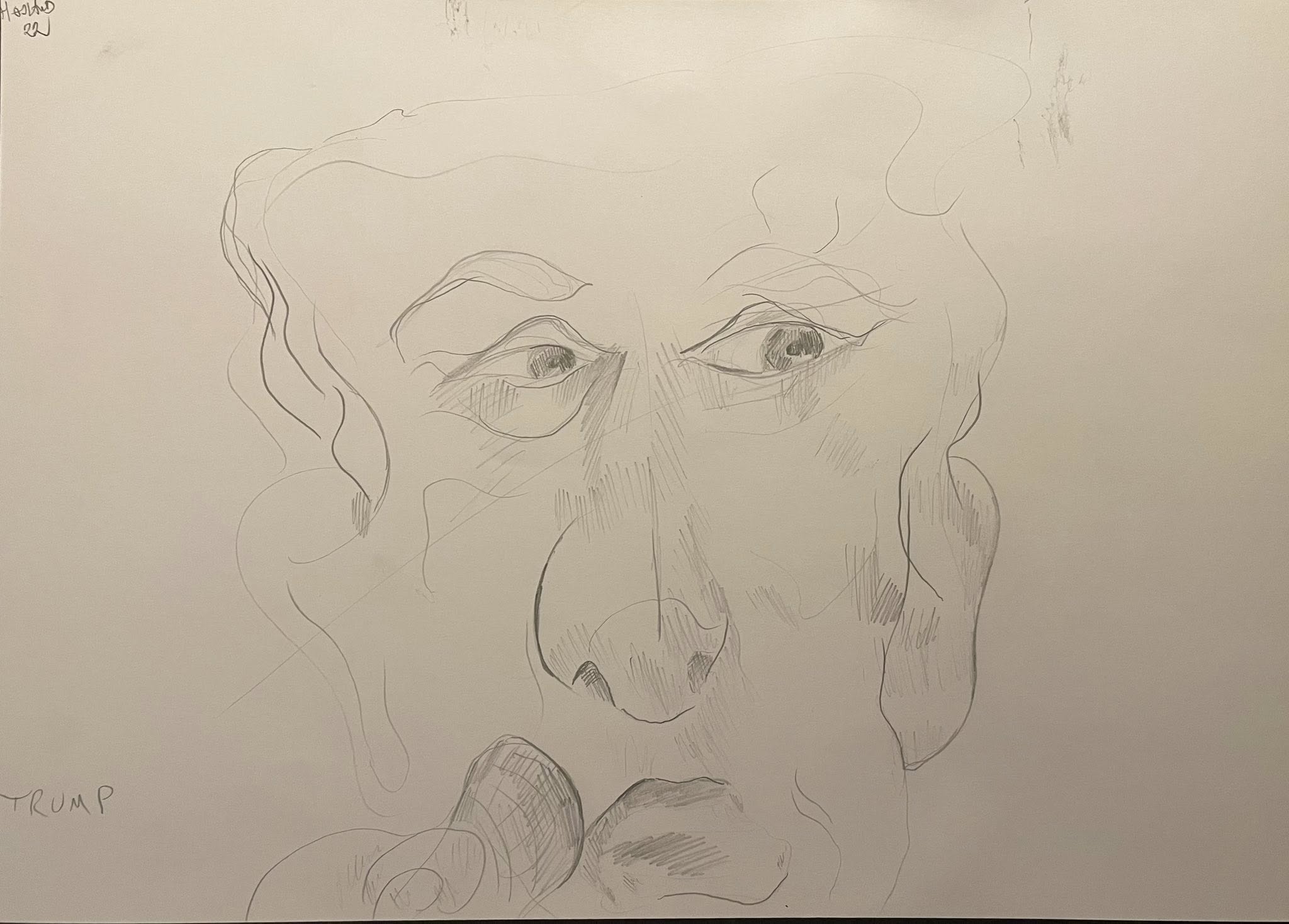 Karikatur Politikere / Politicians caricature