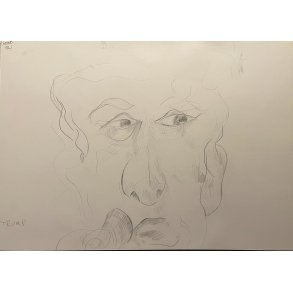 Karikatur Politikere / Politicians caricature