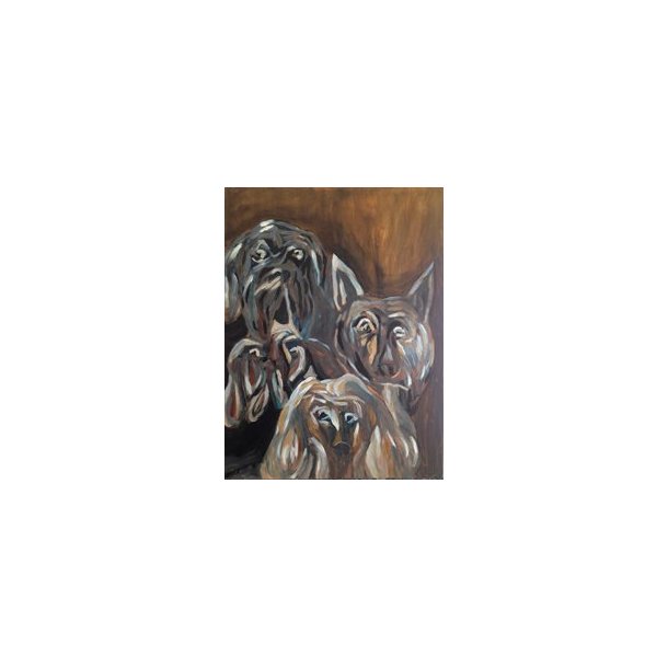  Great Dogs