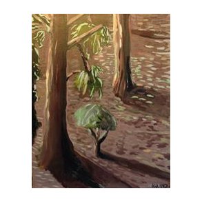 Trer skov skoven Ml: 50 x 40 cm.