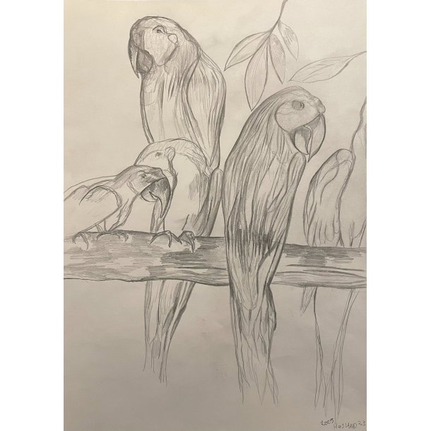 Tegning A3