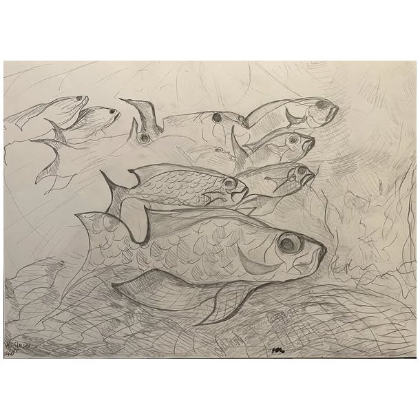 Tegning A3 Fisk