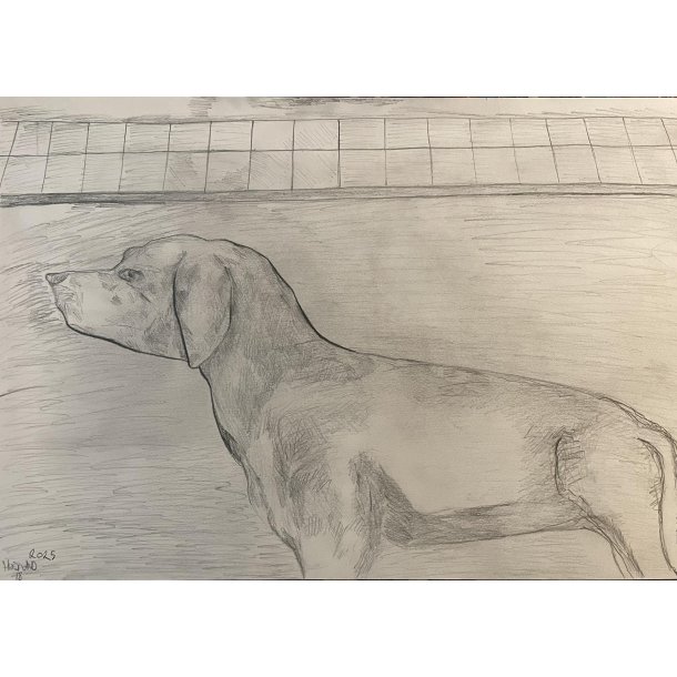 Tegning A3