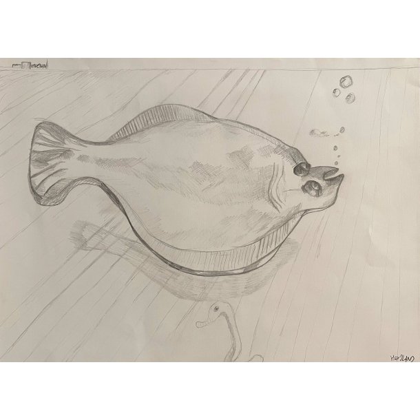 Tegning A3