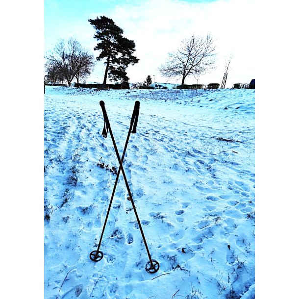 Gamle vintage bambus skistave